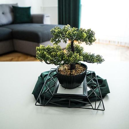Tania Apartament 오라데아 외부 사진