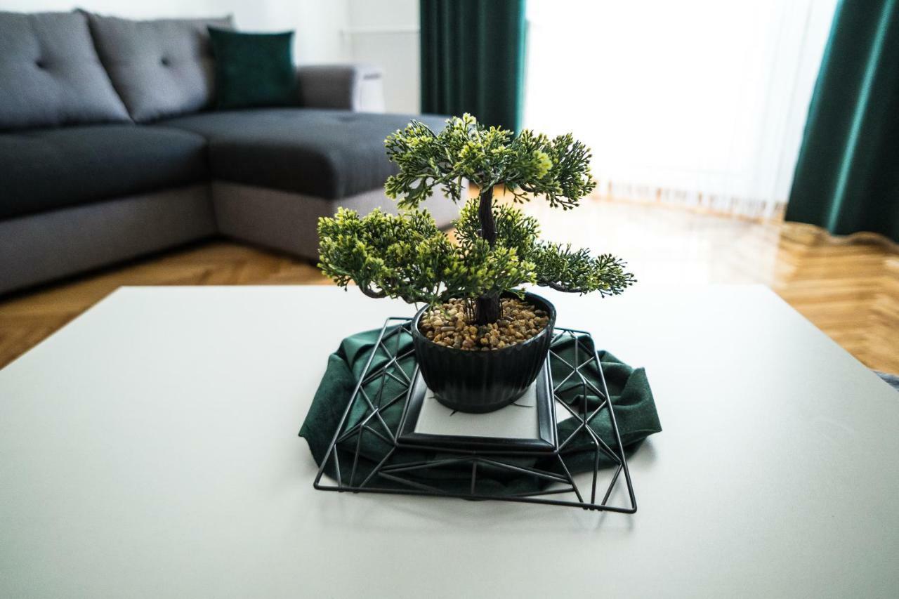 Tania Apartament 오라데아 외부 사진